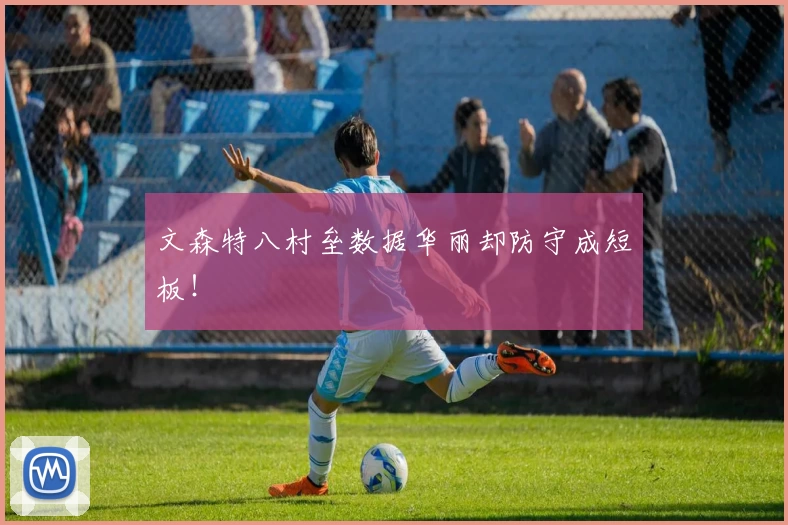 文森特八村垒数据华丽却防守成短板!