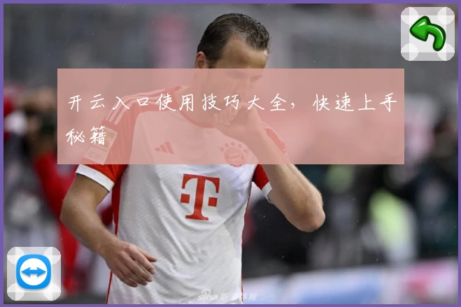 开云入口使用技巧大全，快速上手秘籍