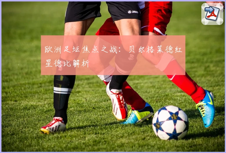 欧洲足坛焦点之战：贝尔格莱德红星德比解析