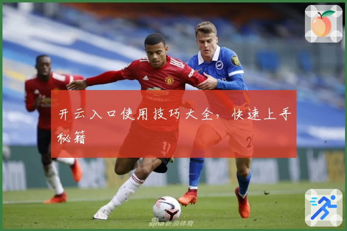 开云入口使用技巧大全，快速上手秘籍