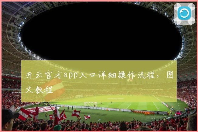 开云官方app入口详细操作流程，图文教程