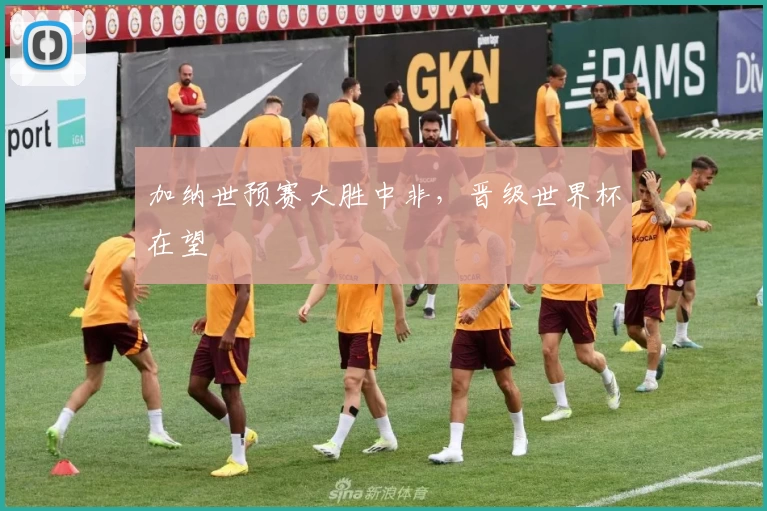 加纳世预赛大胜中非,晋级世界杯在望