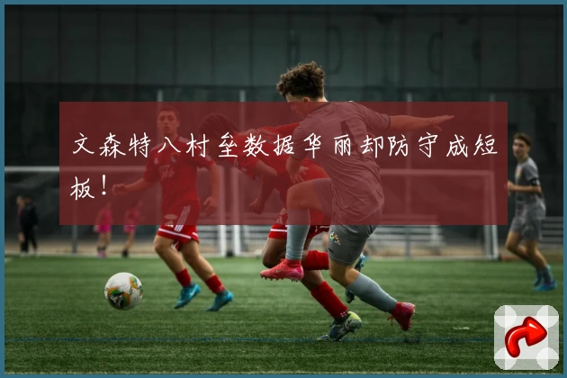 文森特八村垒数据华丽却防守成短板！