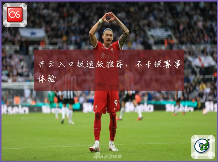 开云入口极速版推荐，不卡顿赛事体验